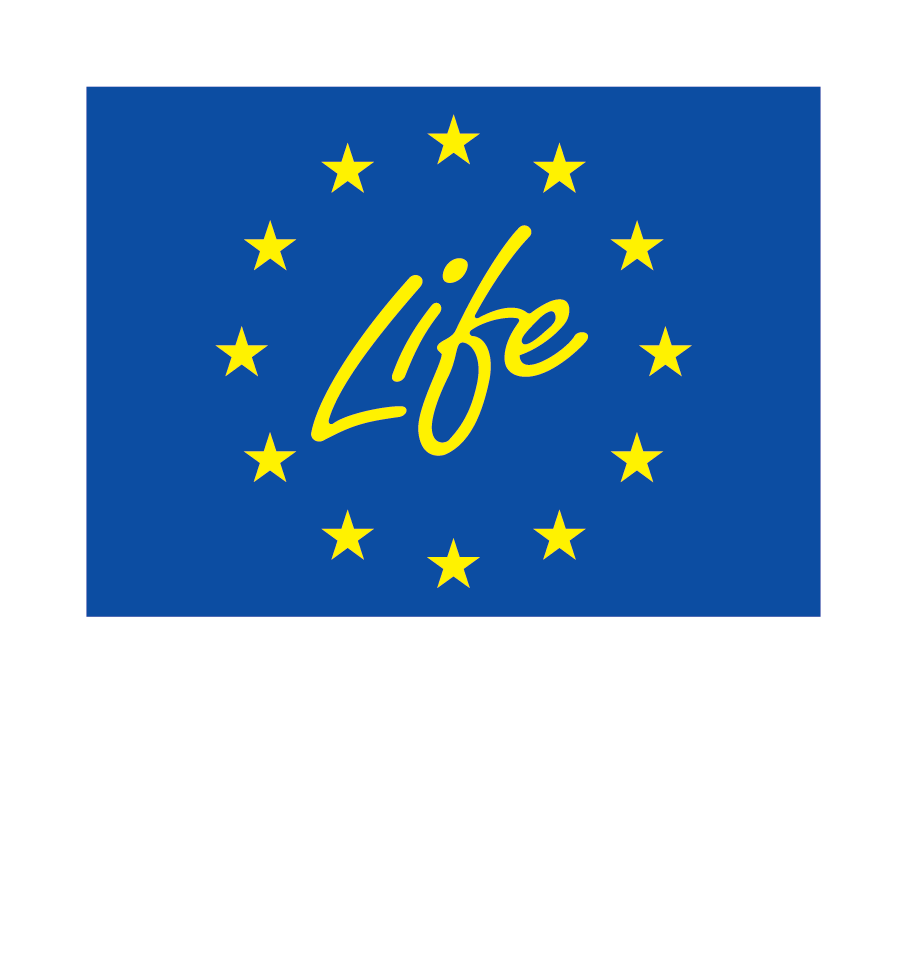 EN V Co funded by the EU NEG