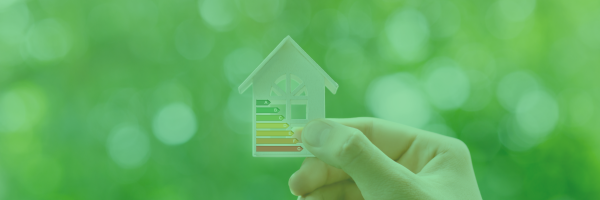 EEPLIANT4 First Newsletter